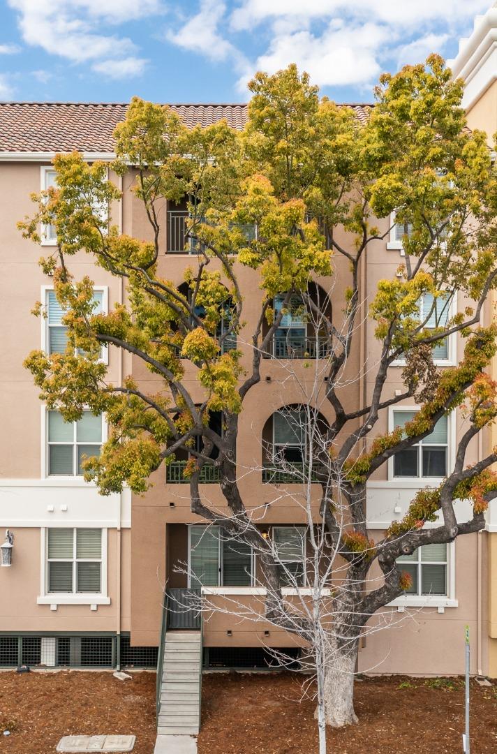 1445 Fruitdale AVE 107