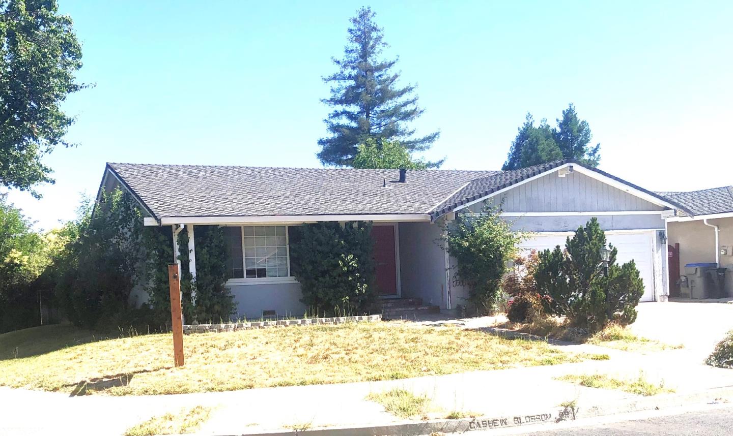 95 Cashew Blossom DR