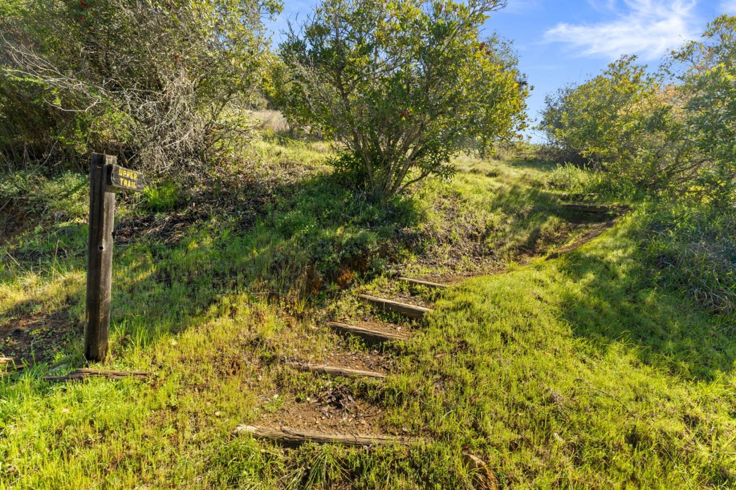 20600 Aldercroft HTS