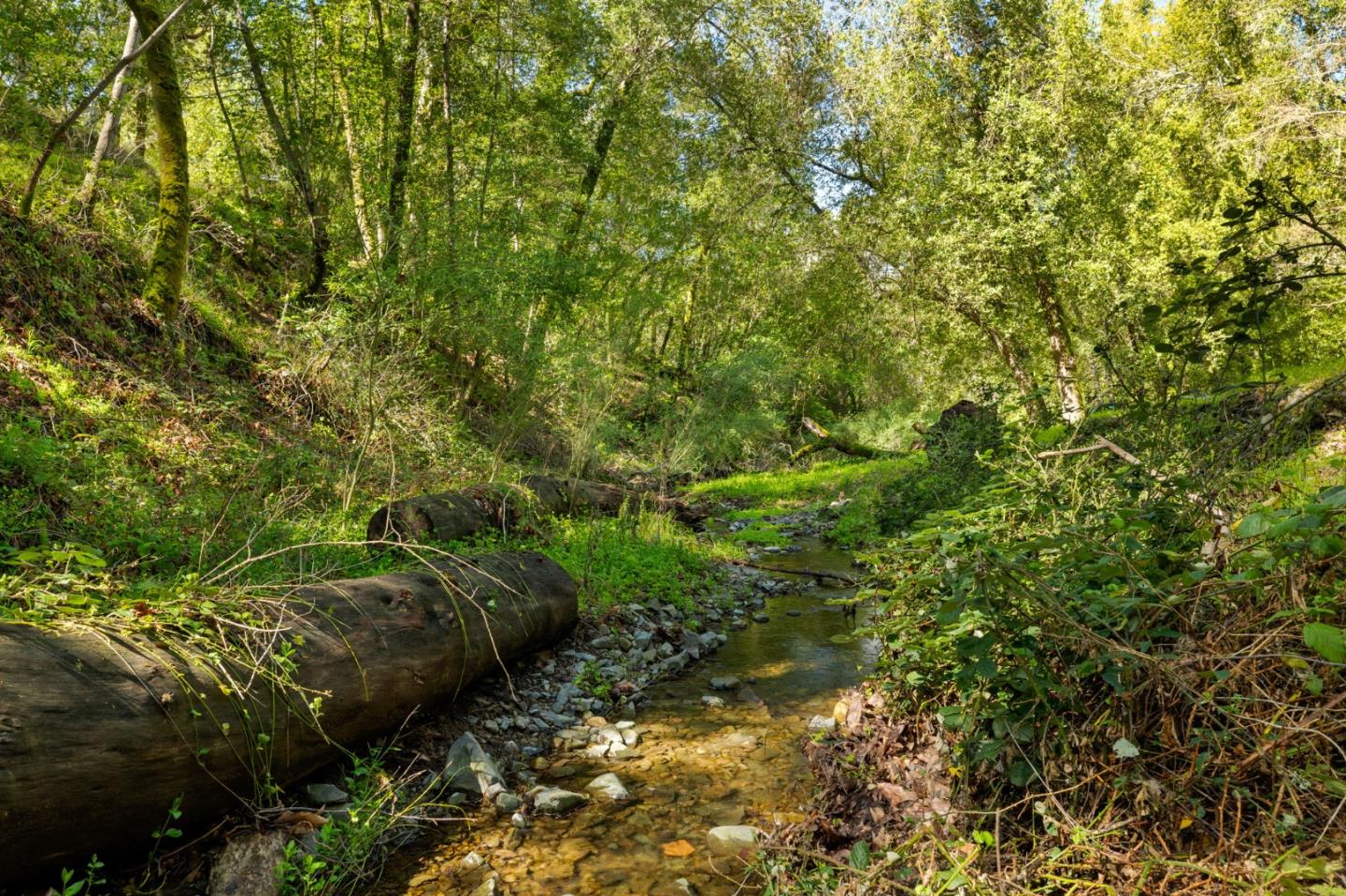 20600 Aldercroft HTS