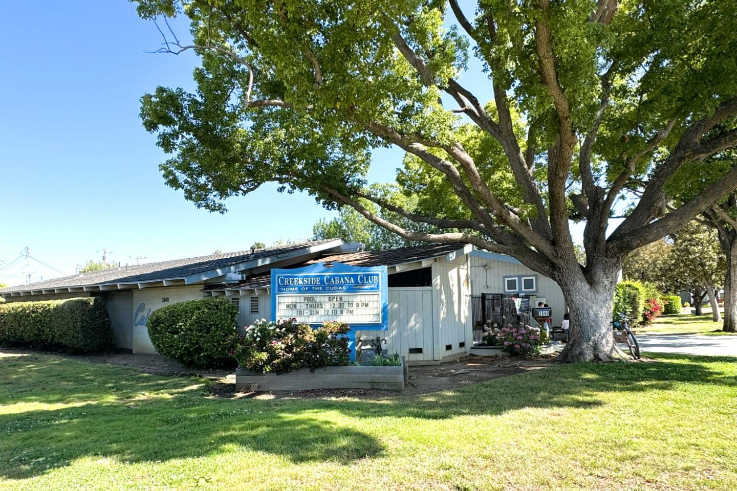 4089 Timberline Drive