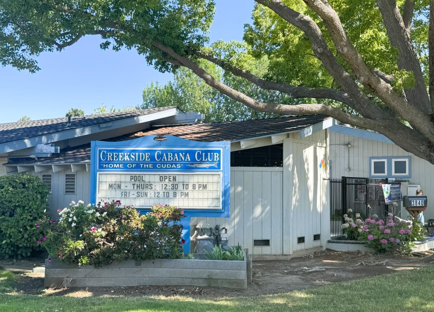 4089 Timberline Drive