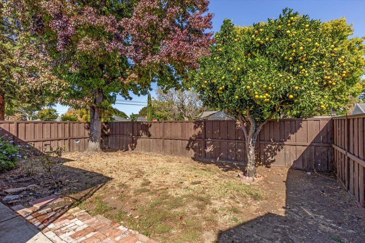 502 MacArthur Avenue