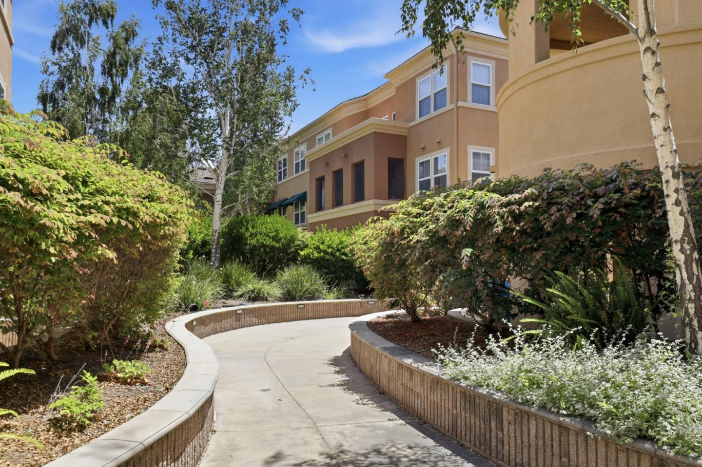 1310 Saddle Rack Street 250
