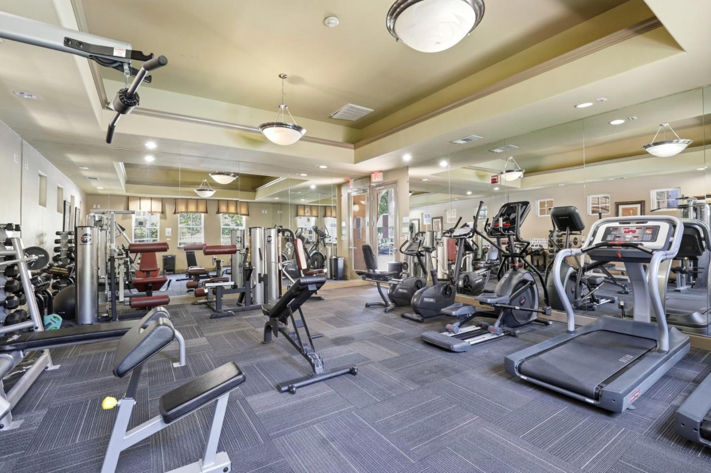 1310 Saddle Rack Street 250