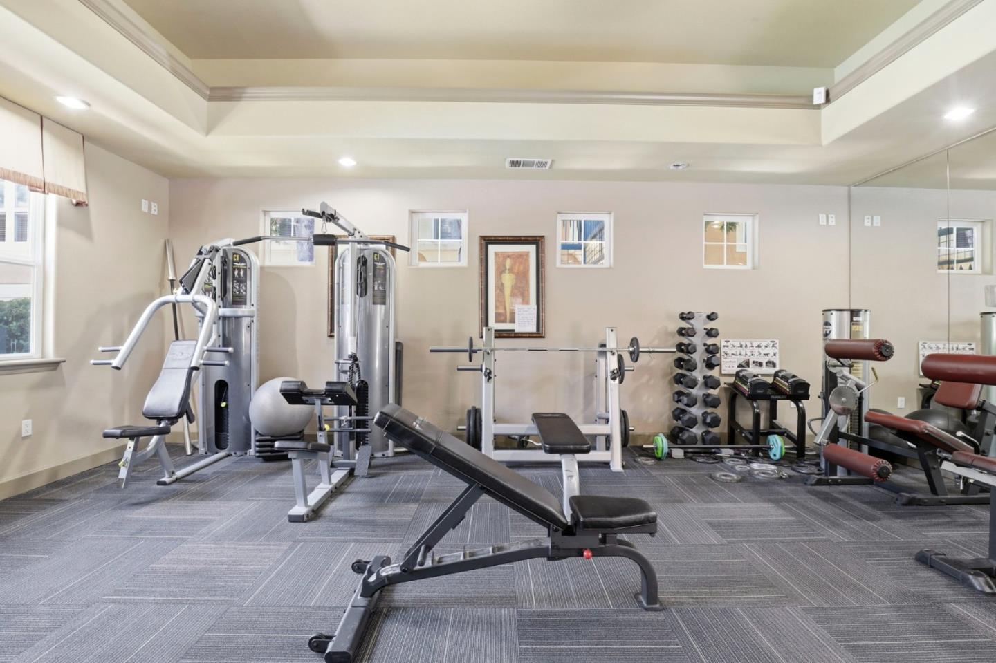 1310 Saddle Rack Street 250