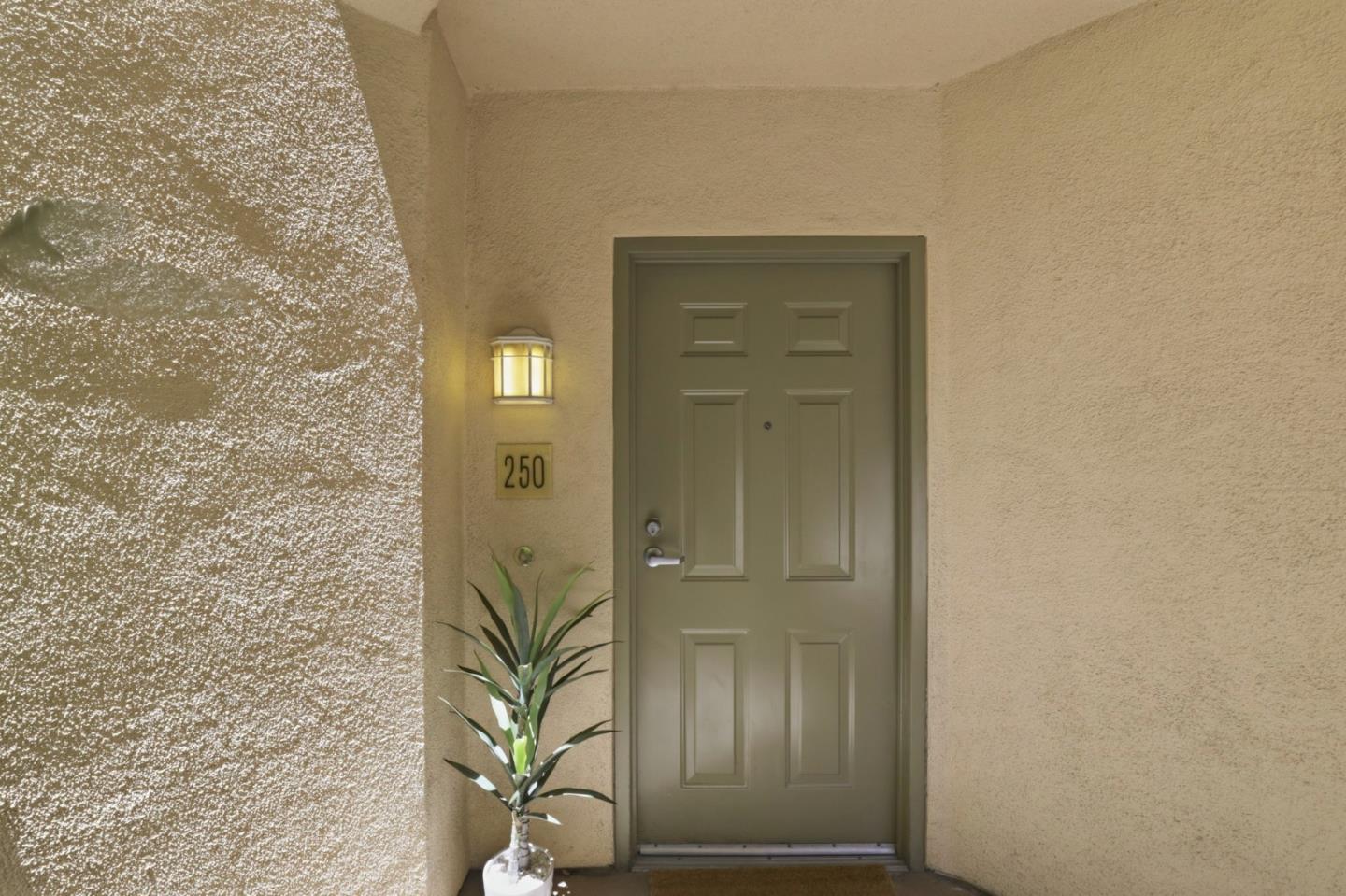 1310 Saddle Rack Street 250