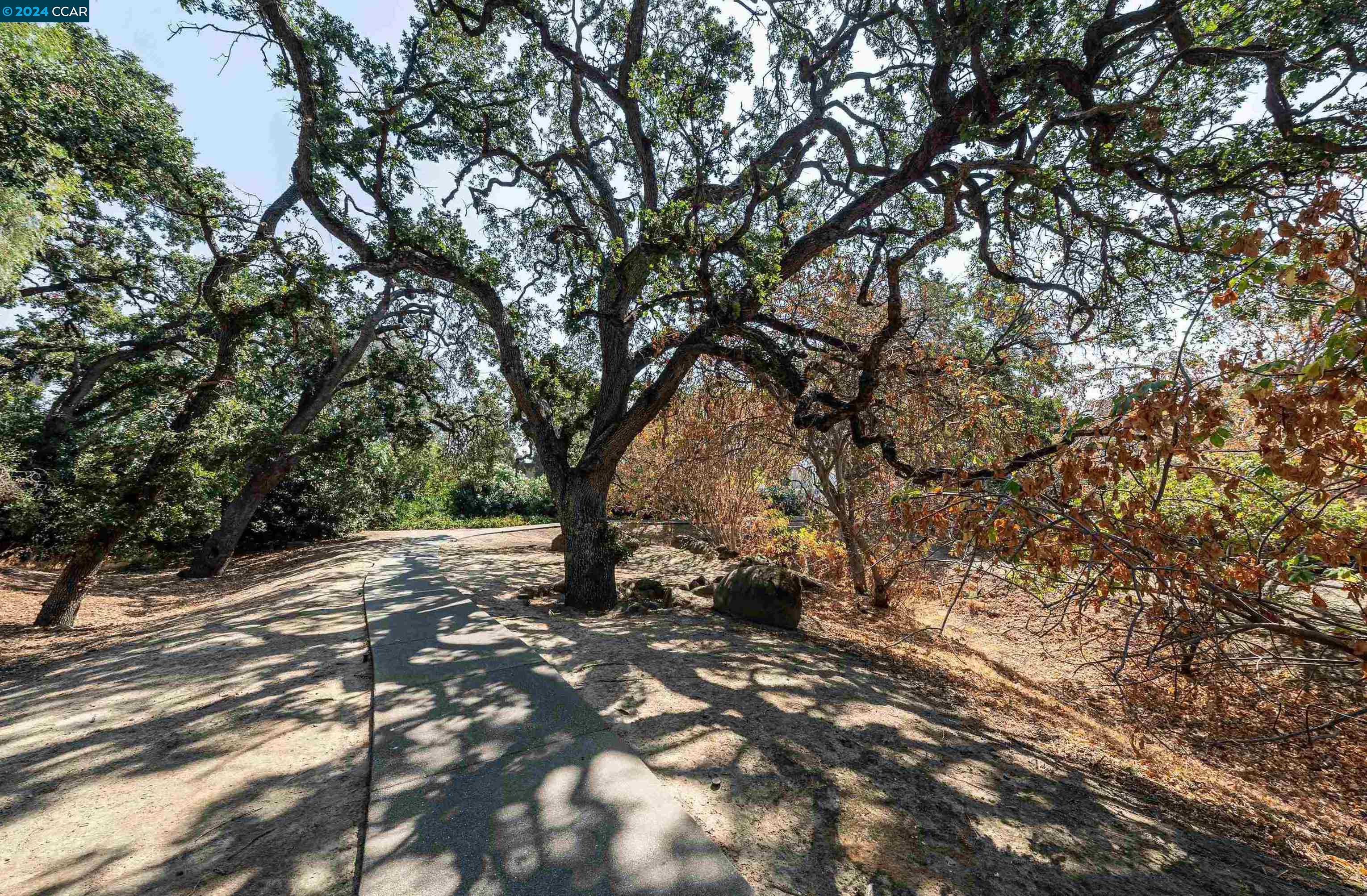 400 Suntree Ln # 404