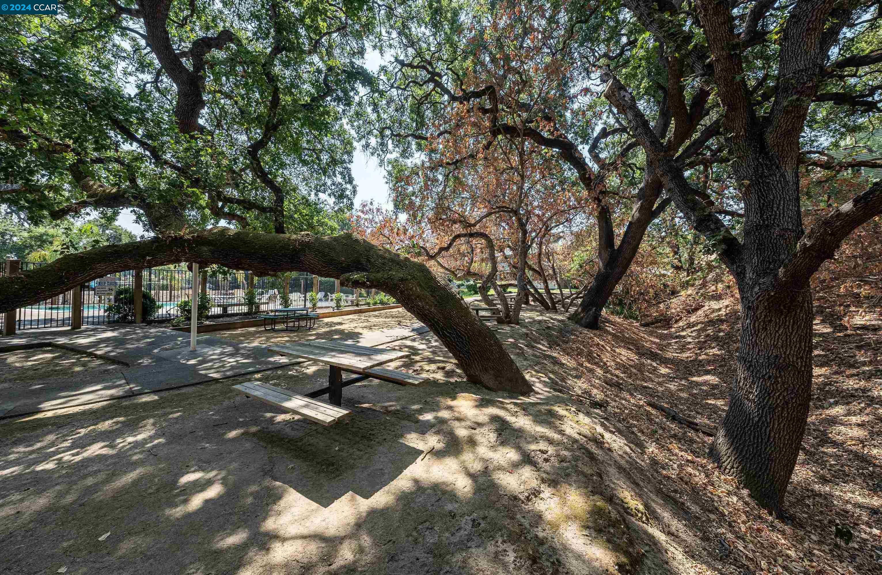 400 Suntree Ln # 404