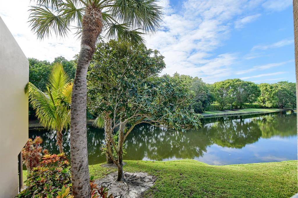 3707 Bridgewood Drive