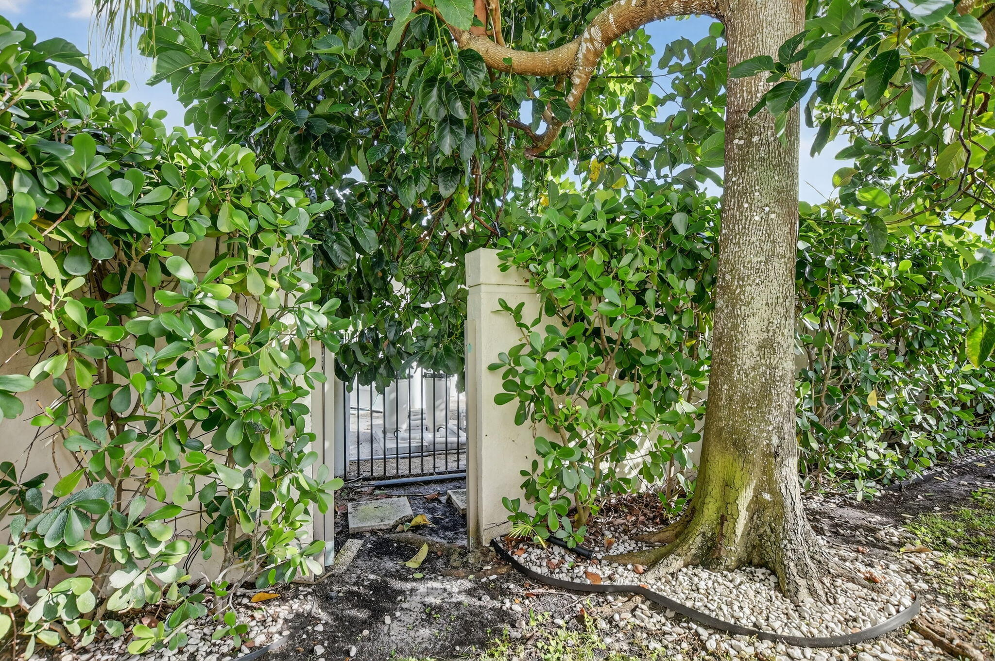 2565 NW 52nd Street