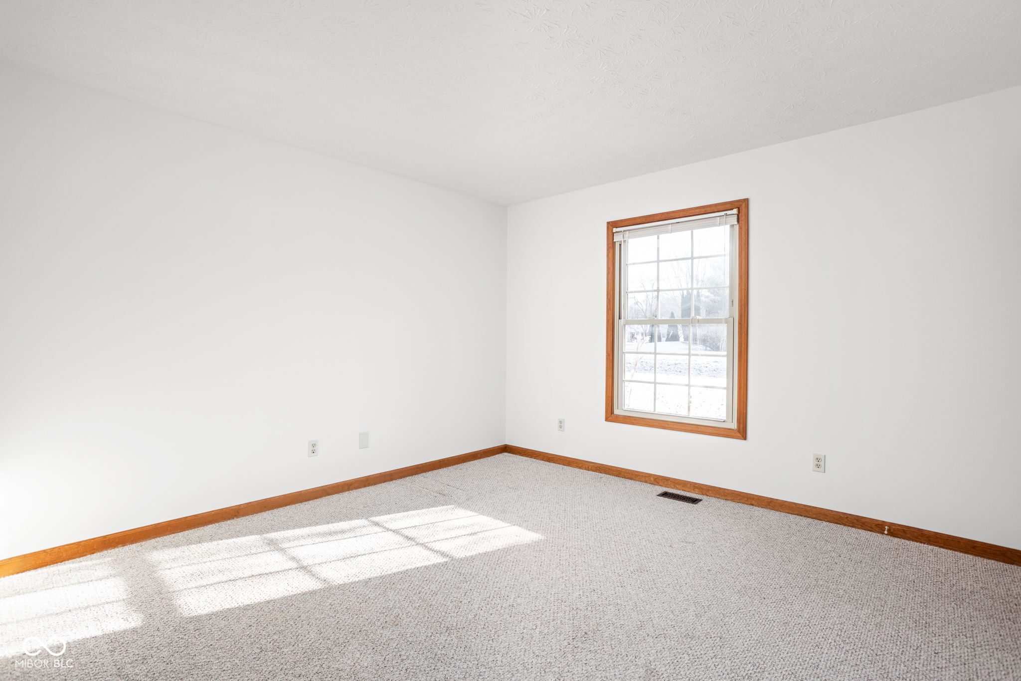 10699 N Carthage Pike