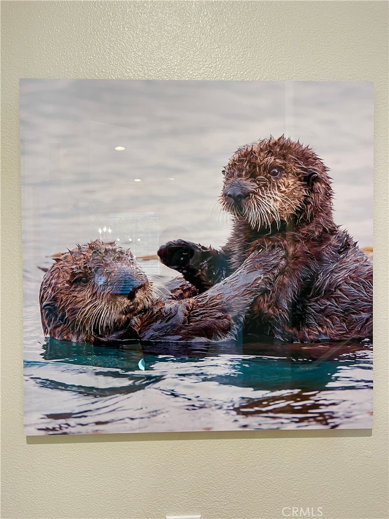 7543 Quiet Cove Circle