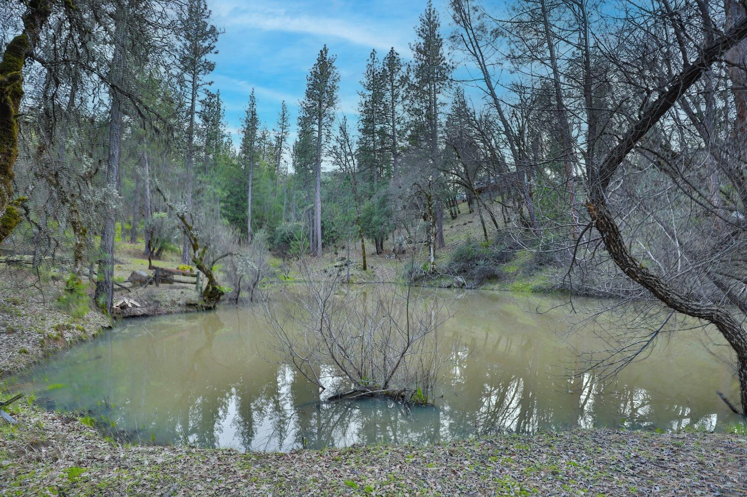 3900 Havenhurst Court