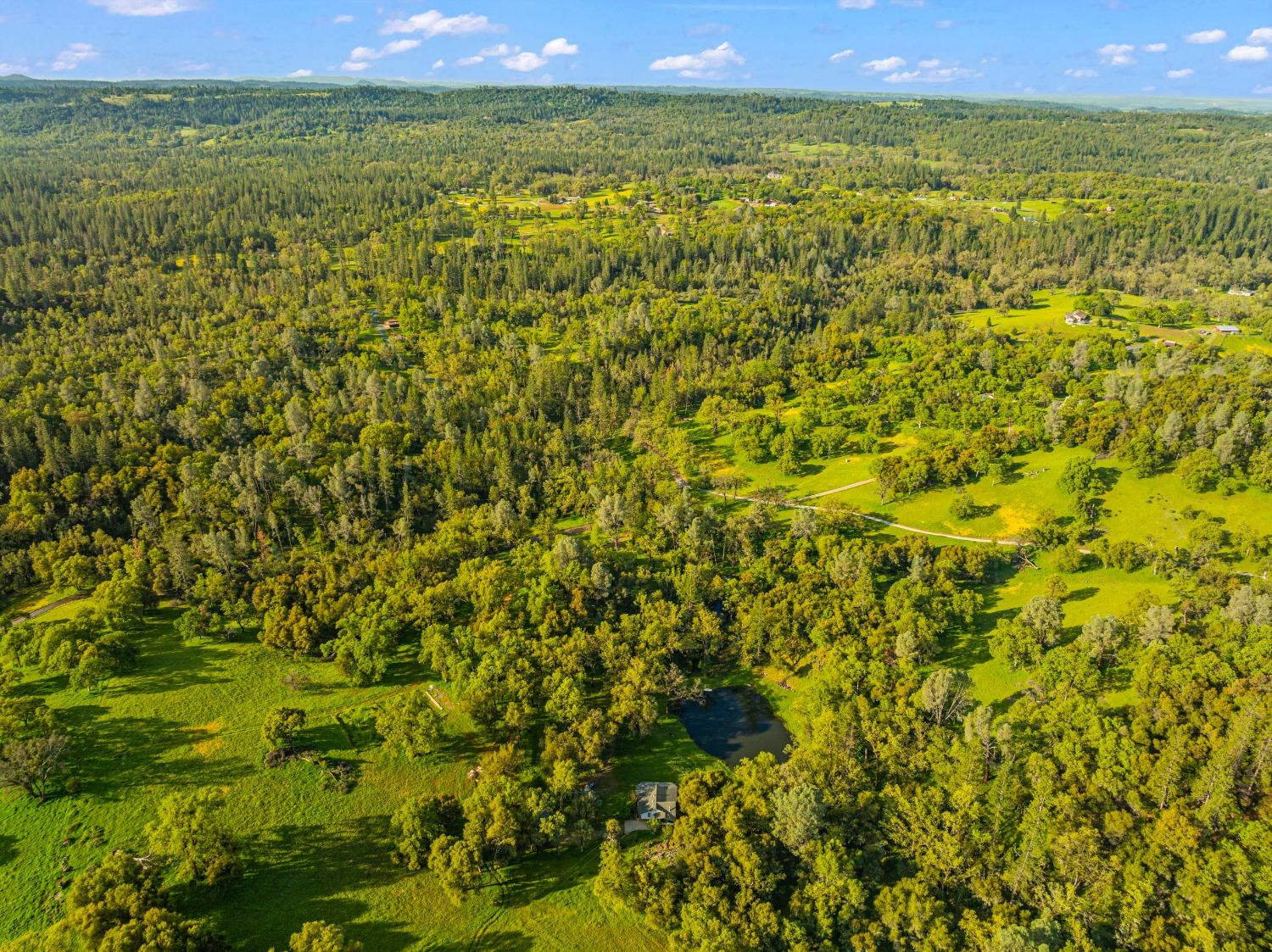 3361 Cedar Creek Road