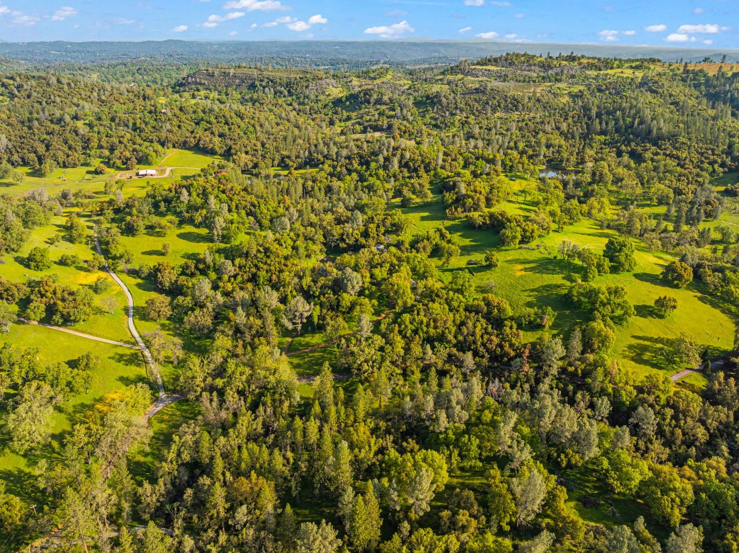 3361 Cedar Creek Road