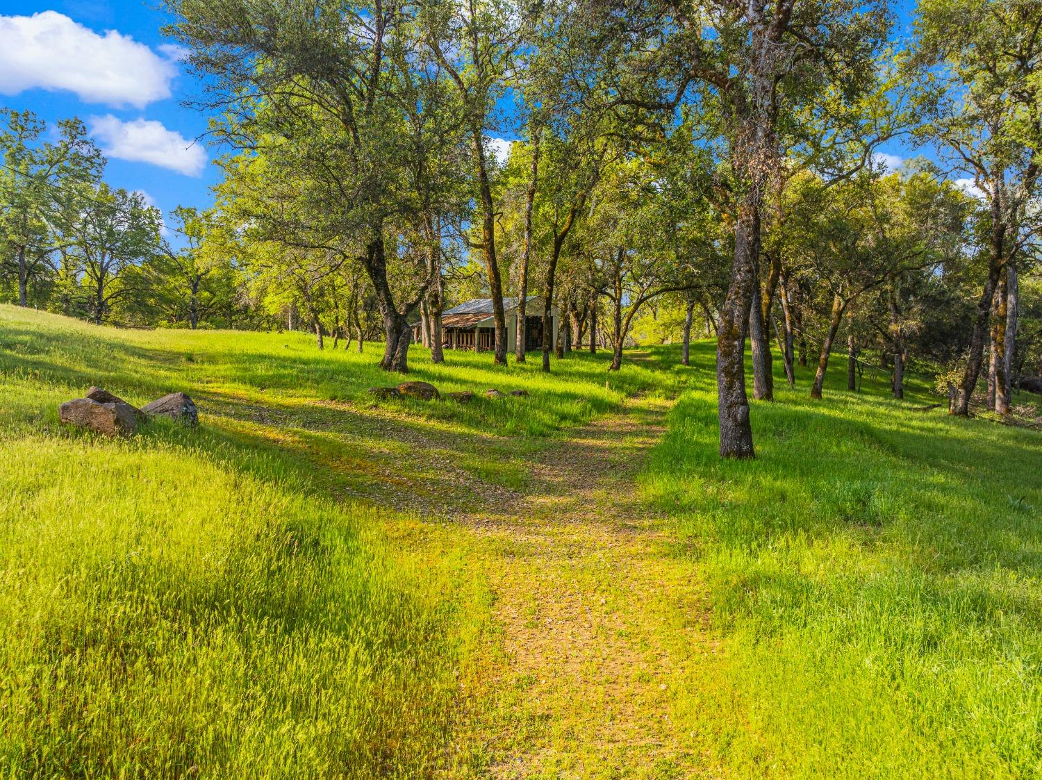 3361 Cedar Creek Road