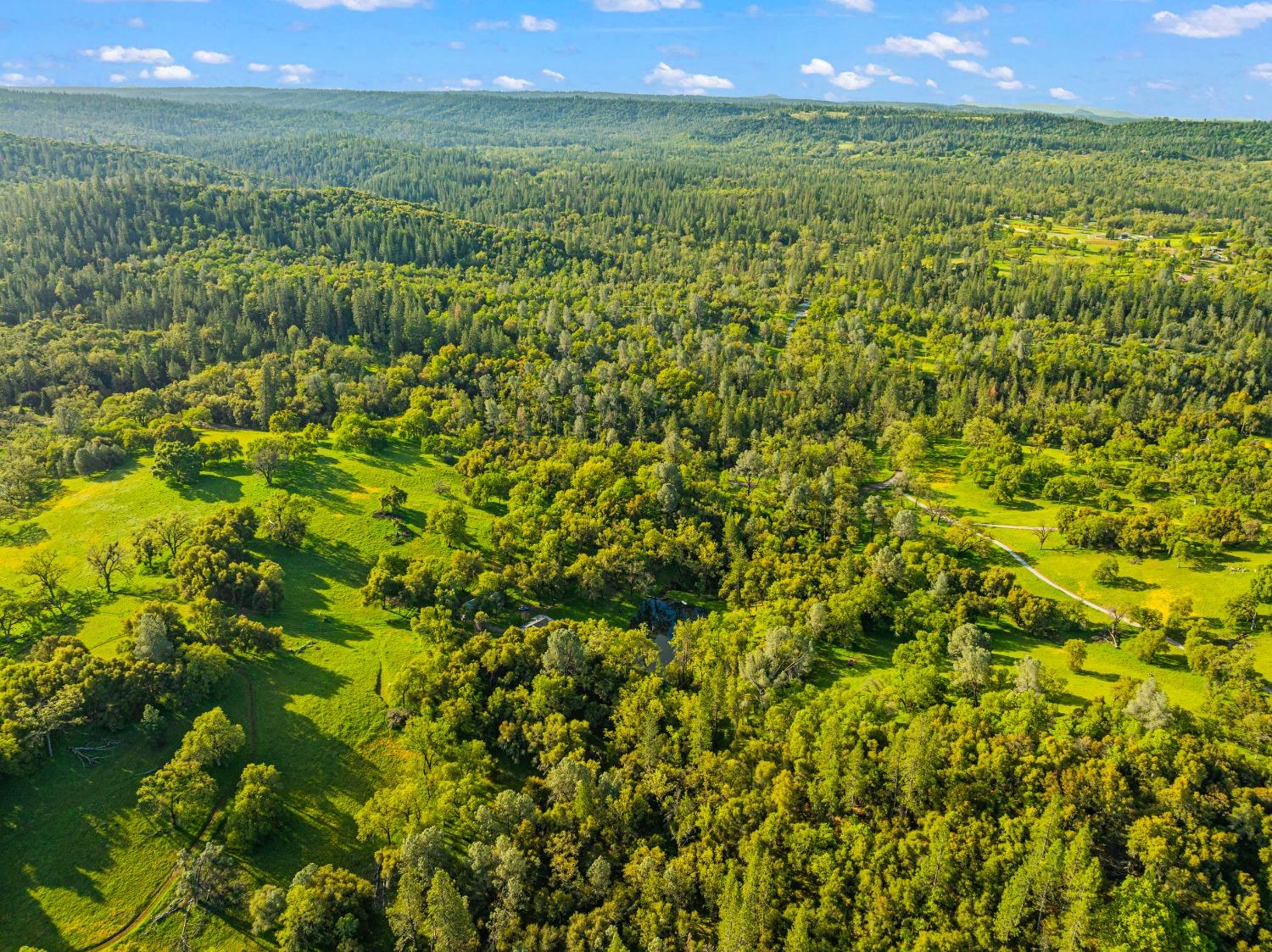 3361 Cedar Creek Road