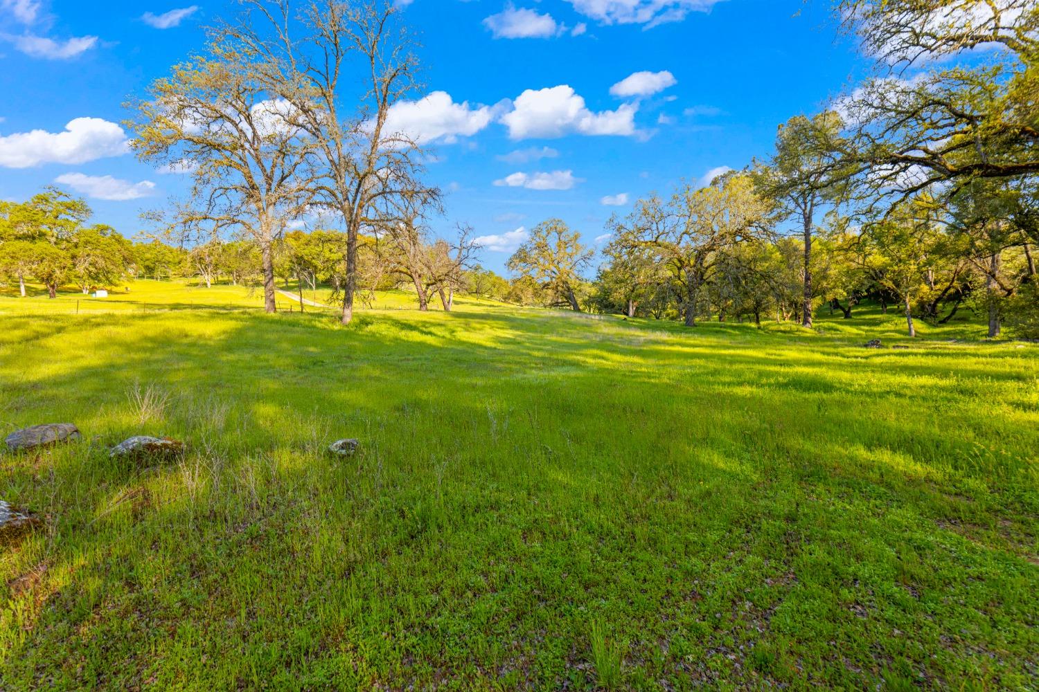 3361 Cedar Creek Road