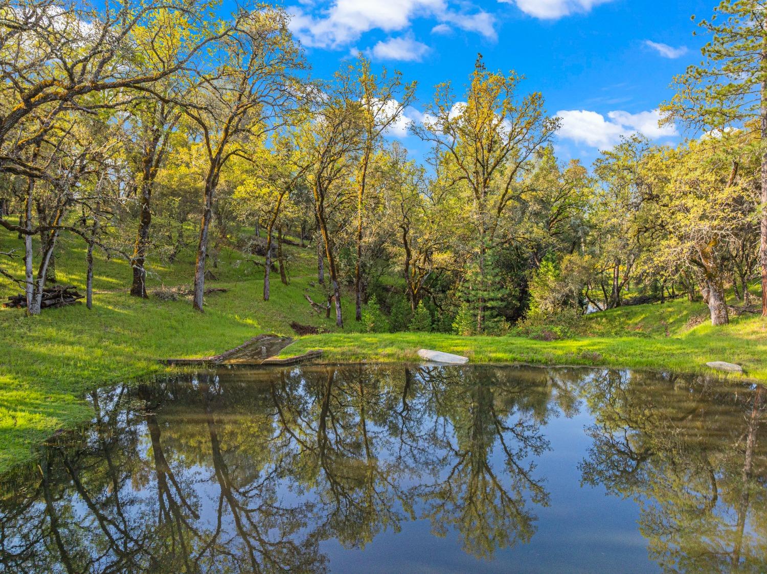 3361 Cedar Creek Road