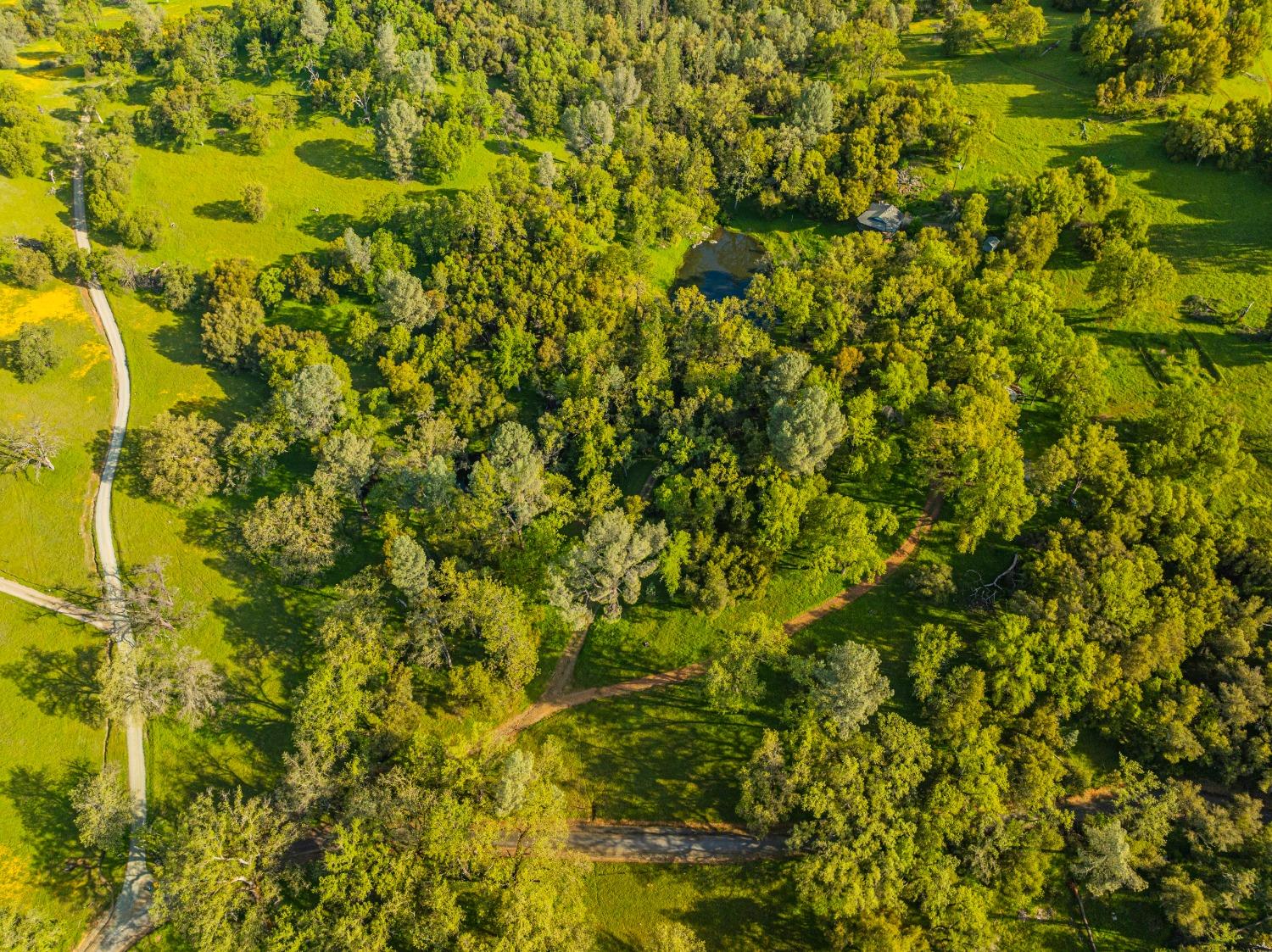 3361 Cedar Creek Road