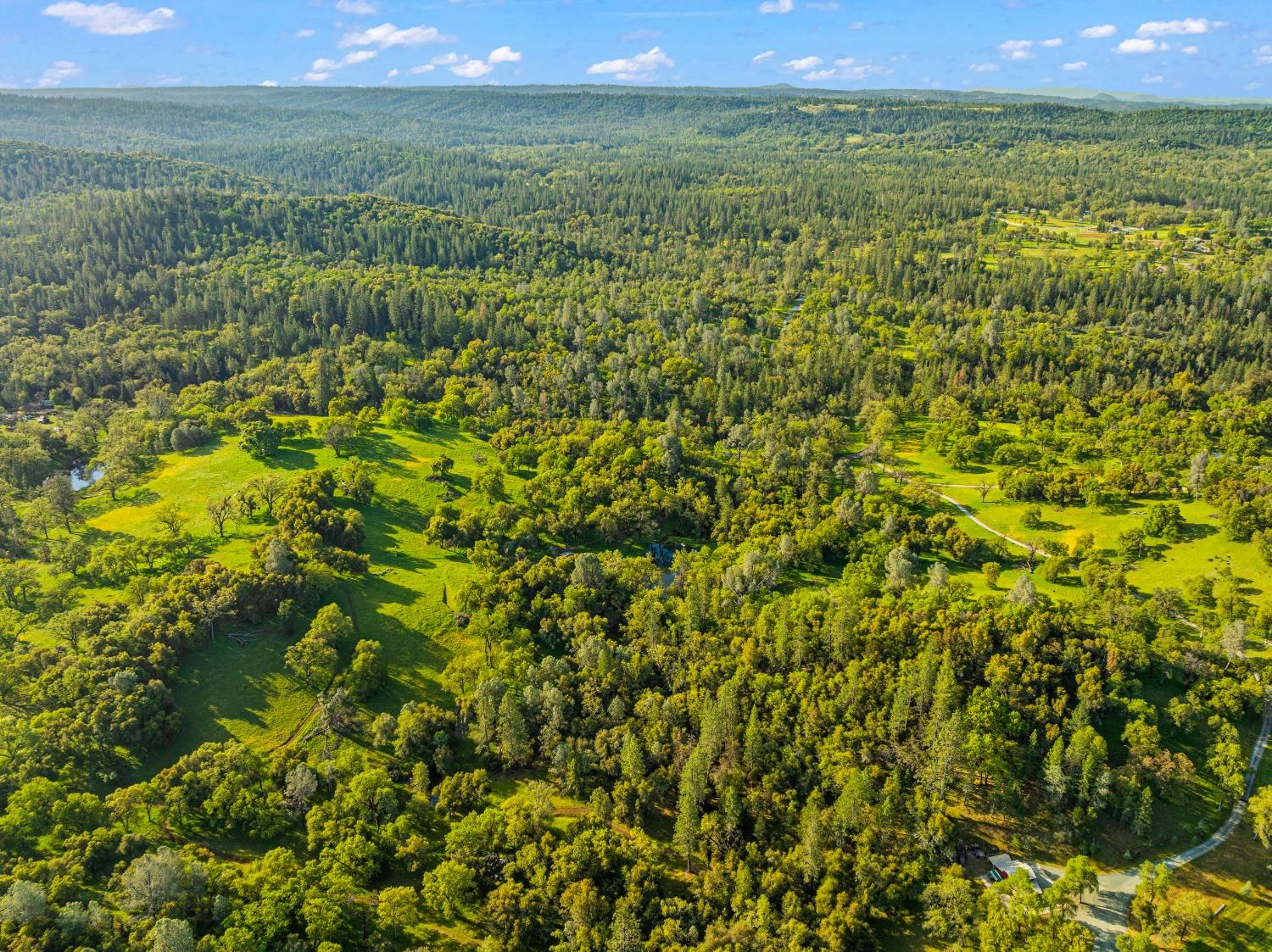 3361 Cedar Creek Road