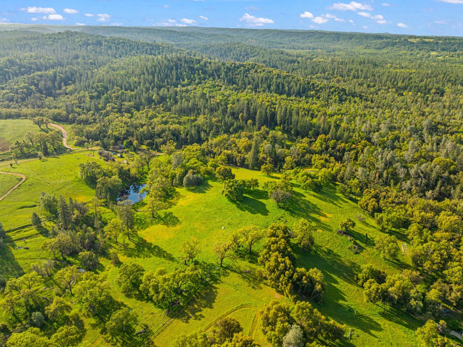 3361 Cedar Creek Road