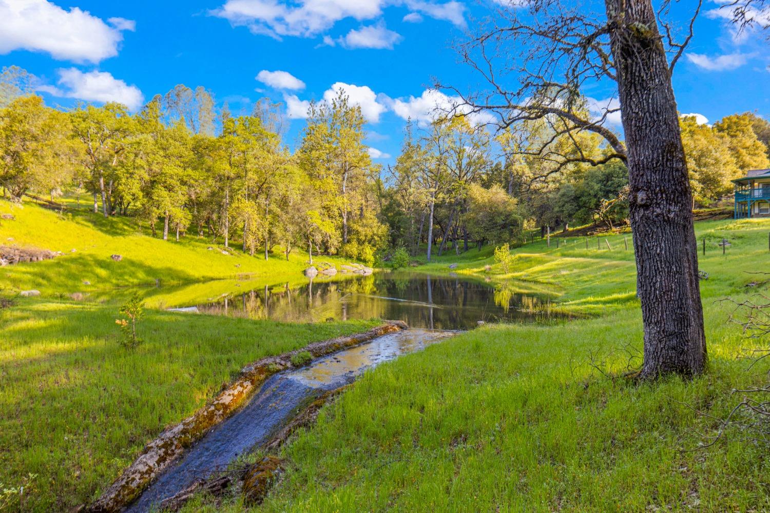 3361 Cedar Creek Road