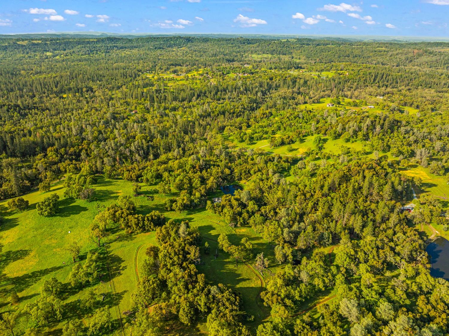 3361 Cedar Creek Road