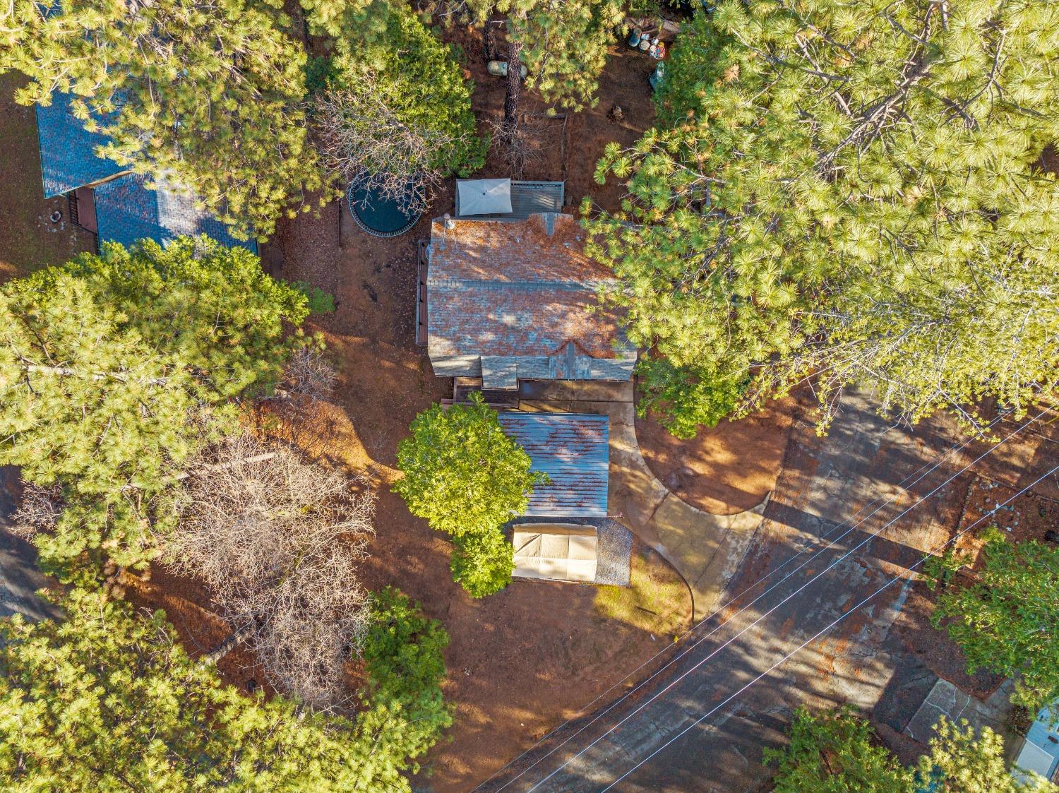 5415 Buttercup Drive