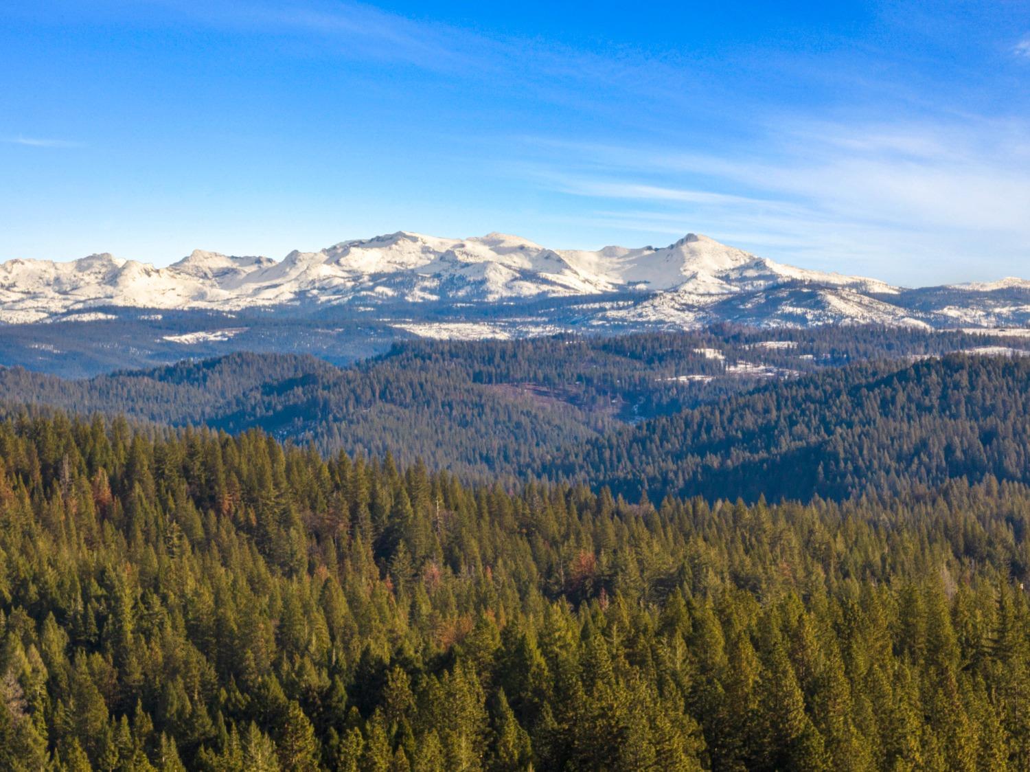 5415 Buttercup Drive