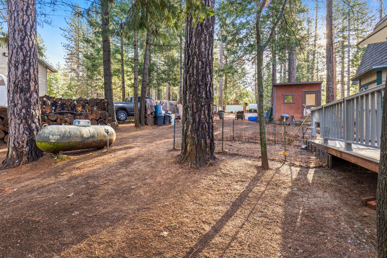 5415 Buttercup Drive