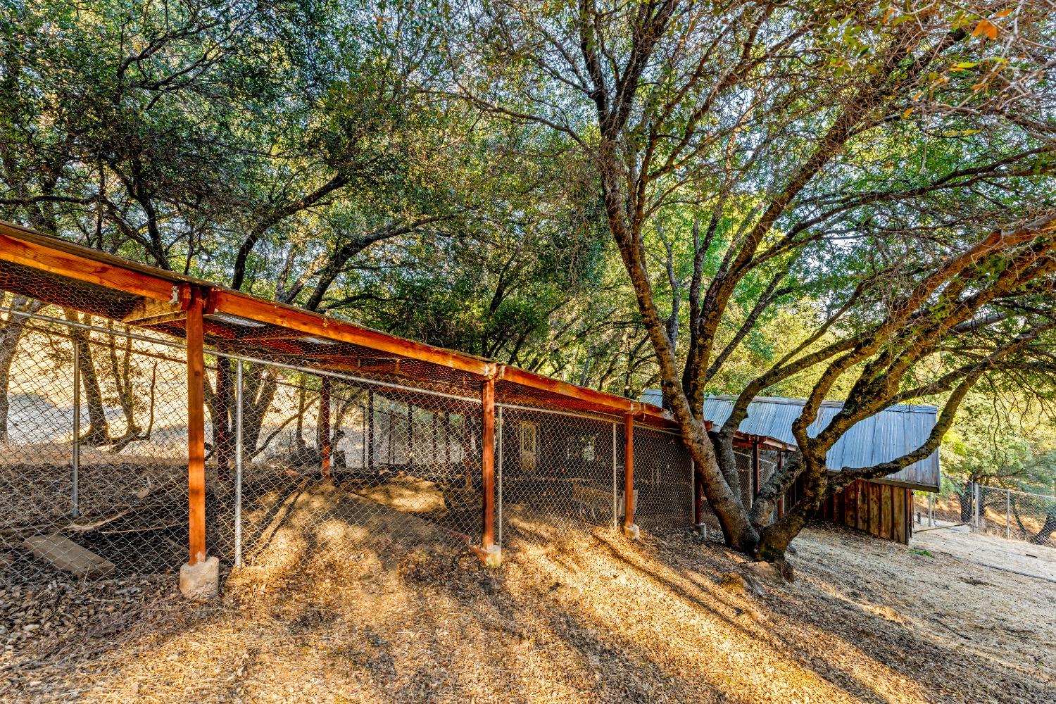 3720 Murphy Ranch Road