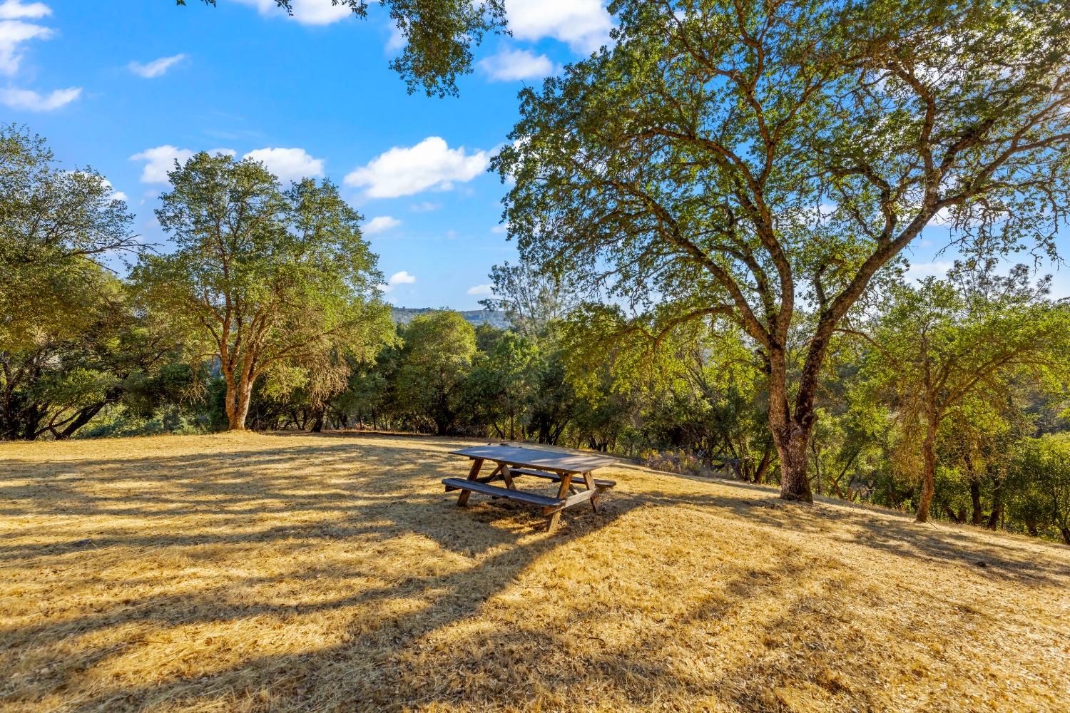 3720 Murphy Ranch Road