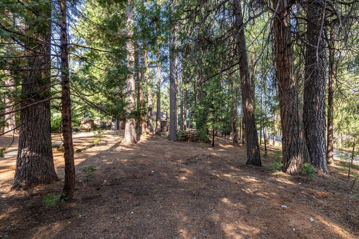 9900 Grizzly Flat Road