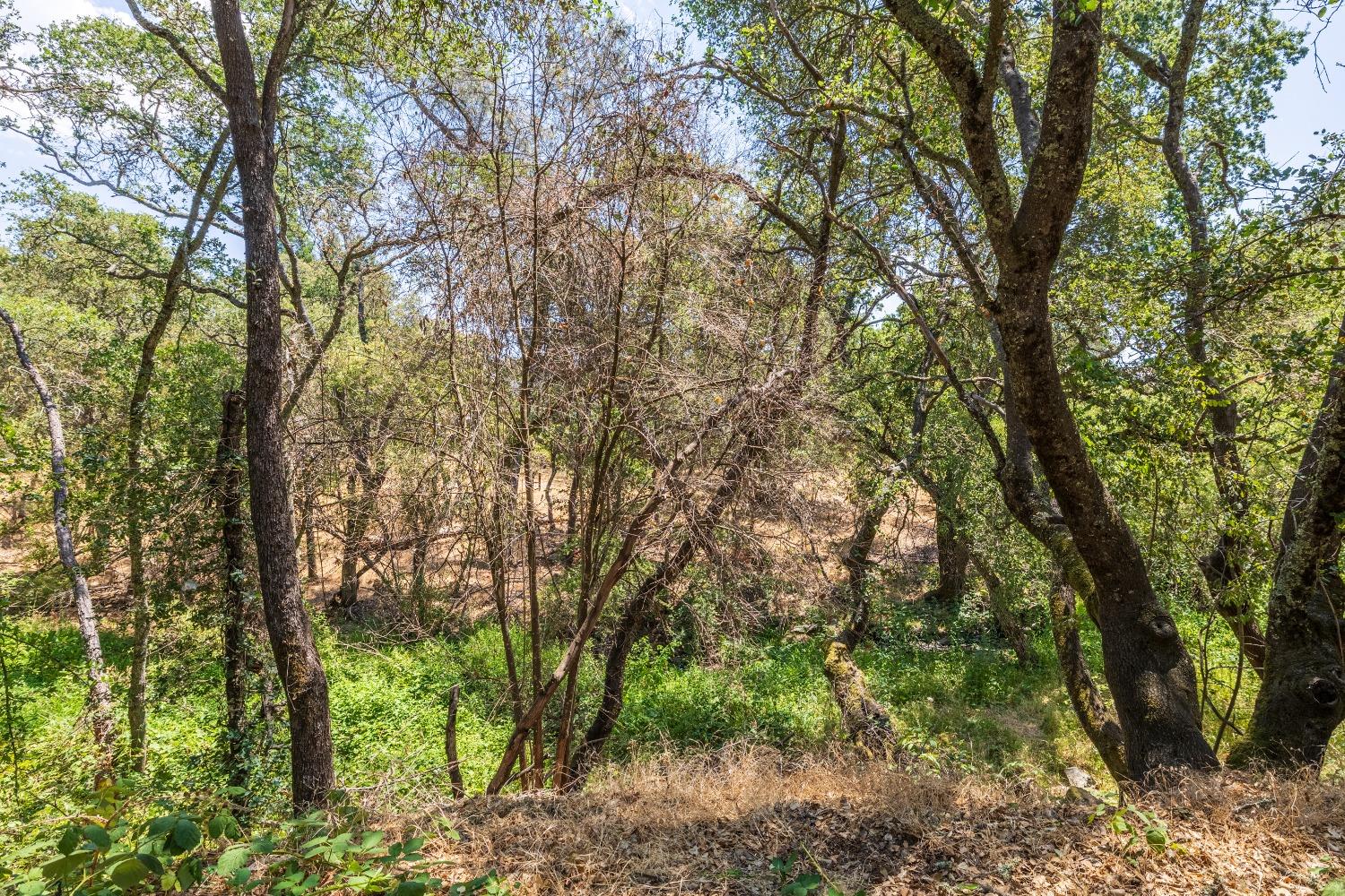 2707 Tam O Shanter Drive