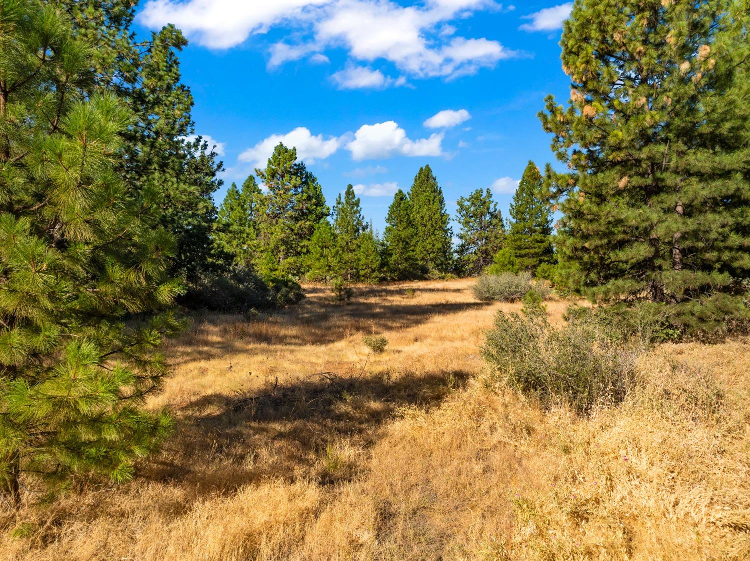 3131 Sierra Blanca Drive