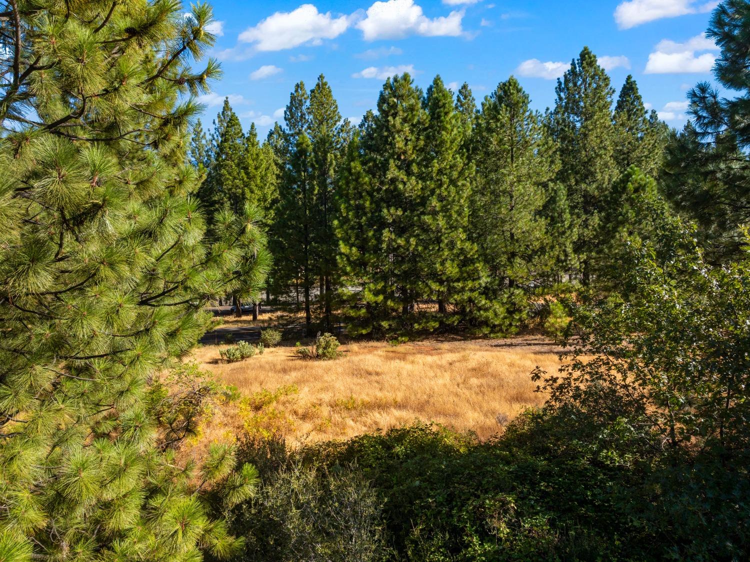 3131 Sierra Blanca Drive