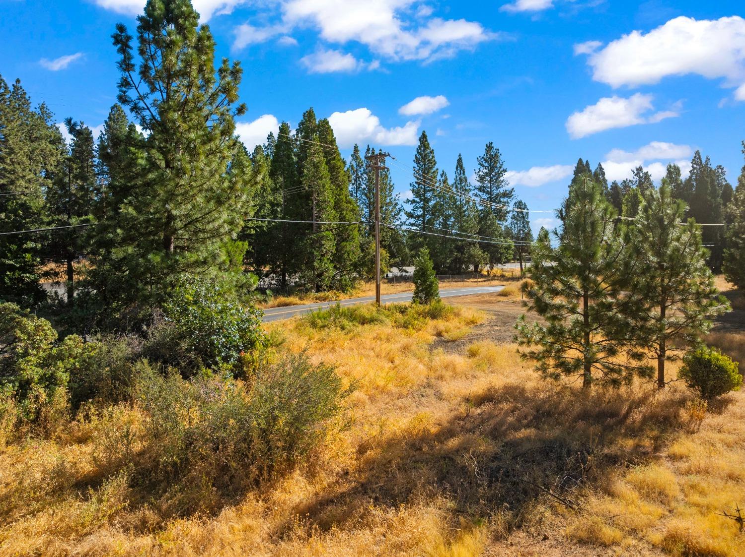 3131 Sierra Blanca Drive