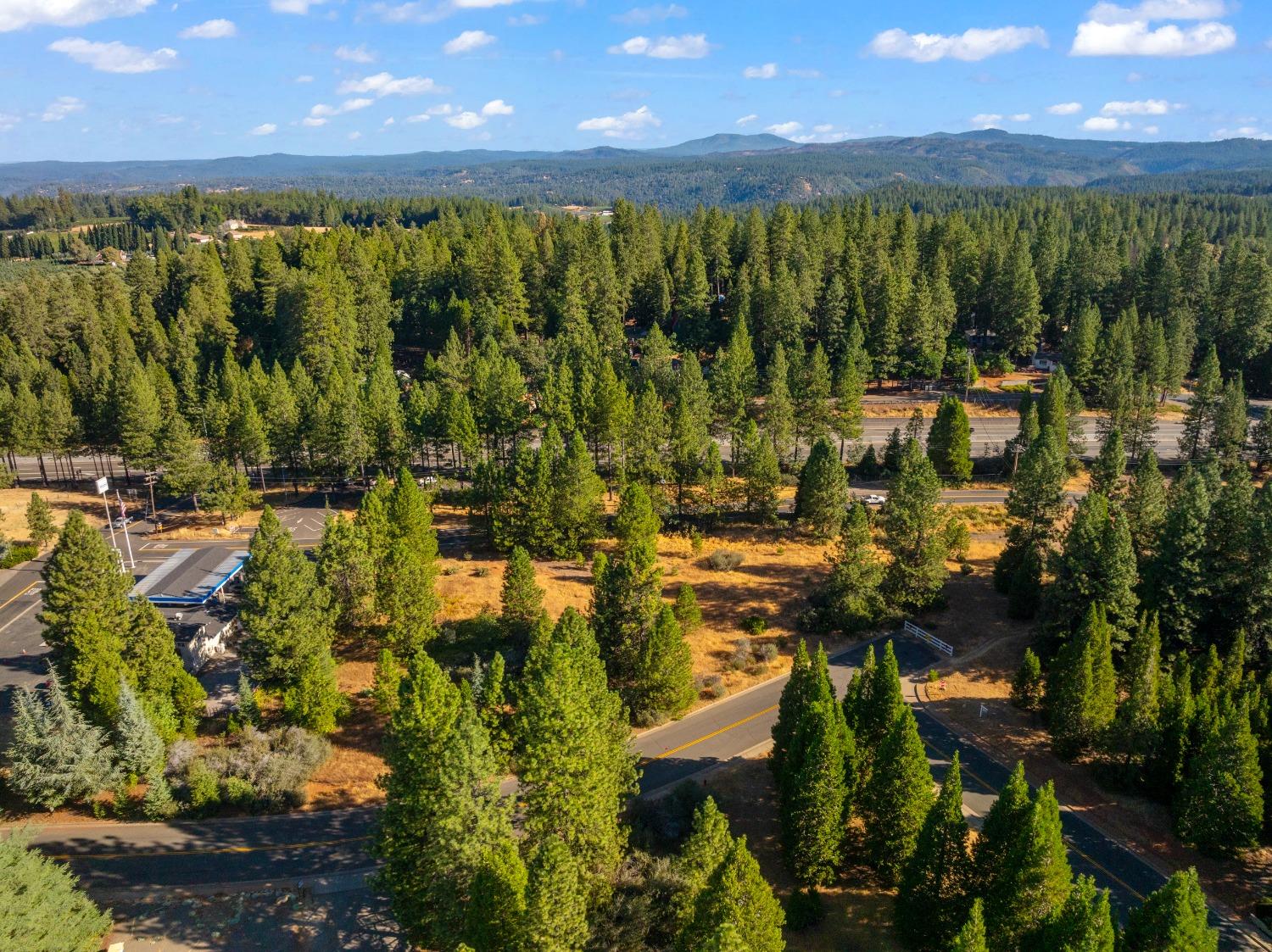 3131 Sierra Blanca Drive