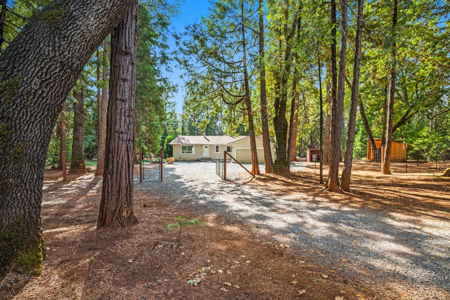 5446 Cold Springs Drive