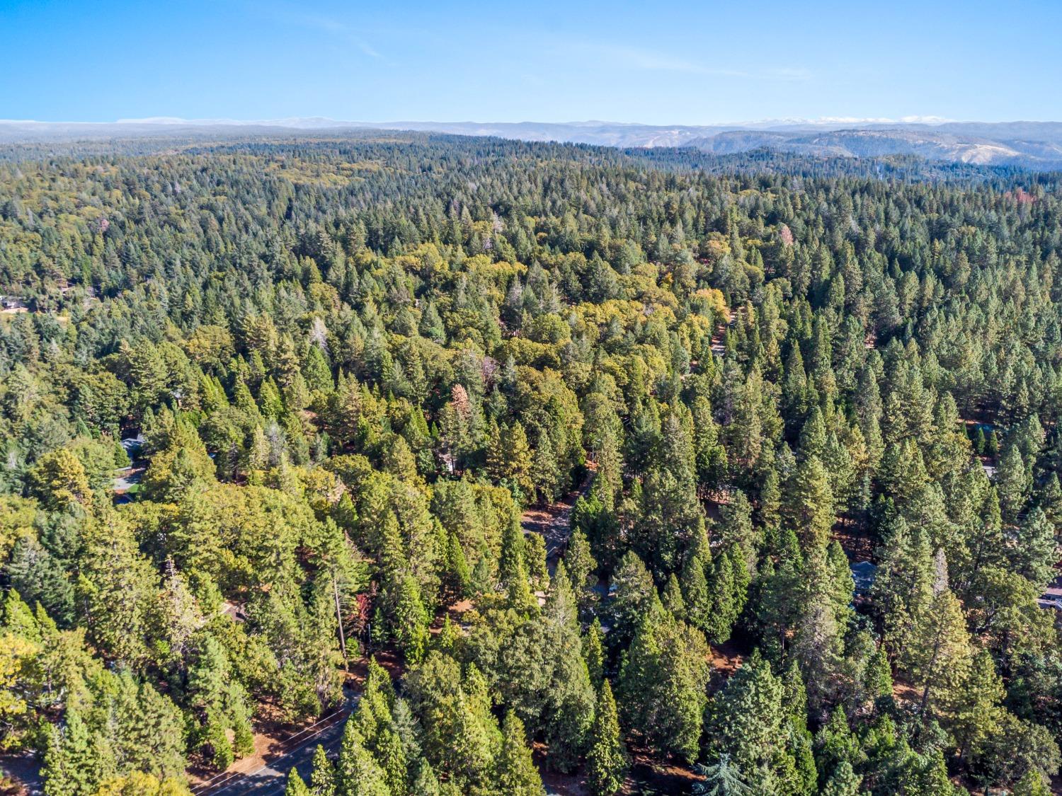 5446 Cold Springs Drive