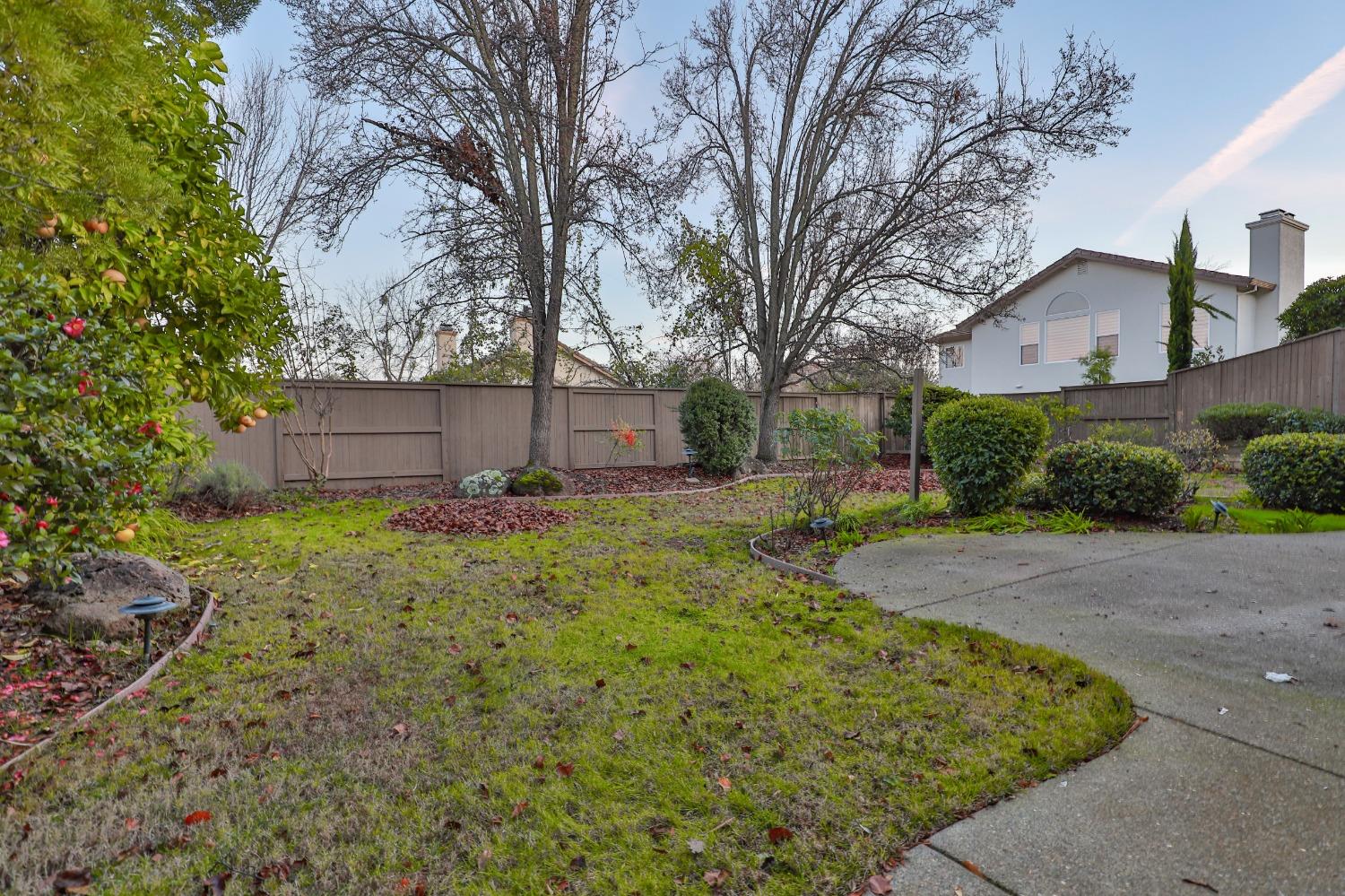 4061 Meadow Wood Drive