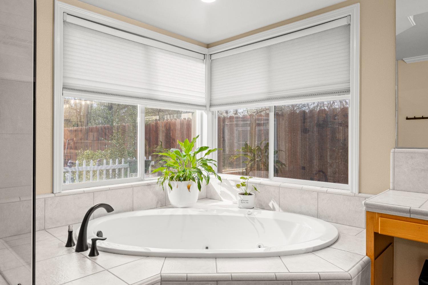 1044 Diamante Robles Court