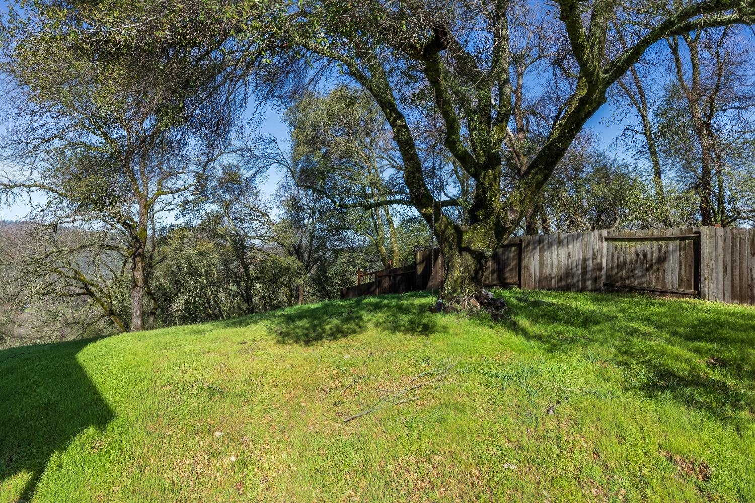 2203 Alpine View Drive