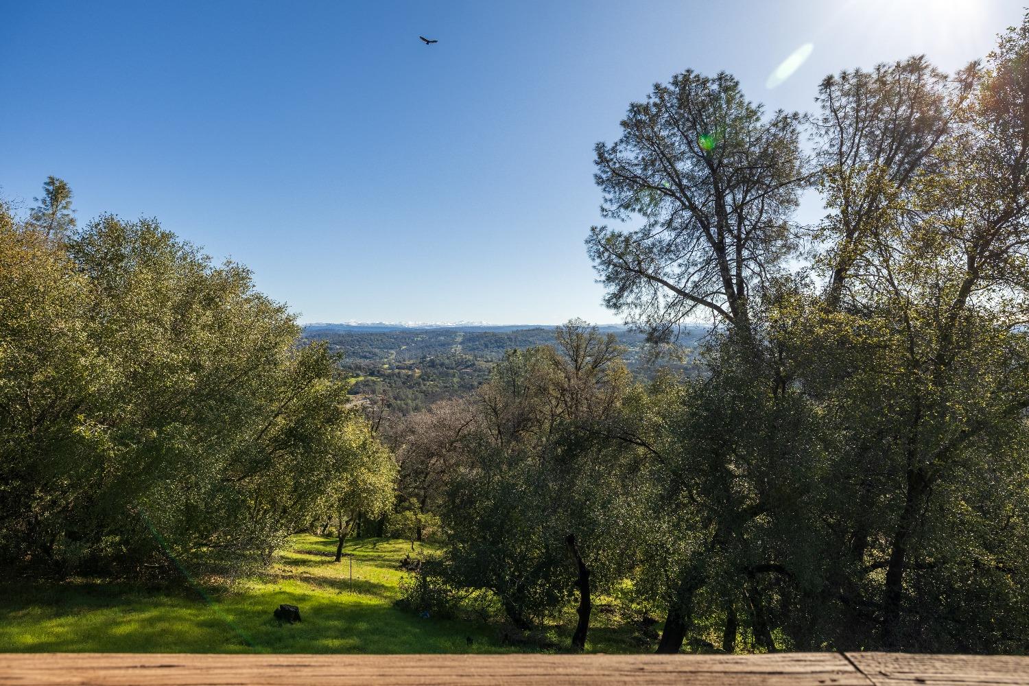 2203 Alpine View Drive