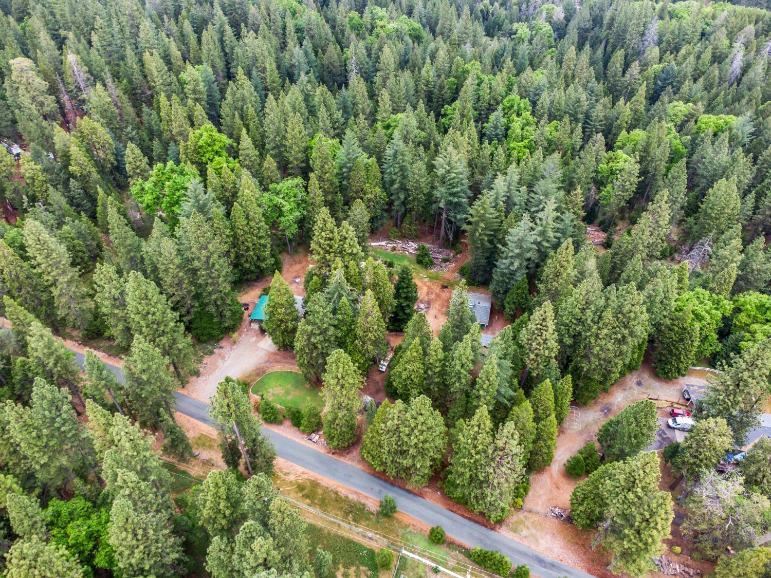 7481 Slug Gulch Road