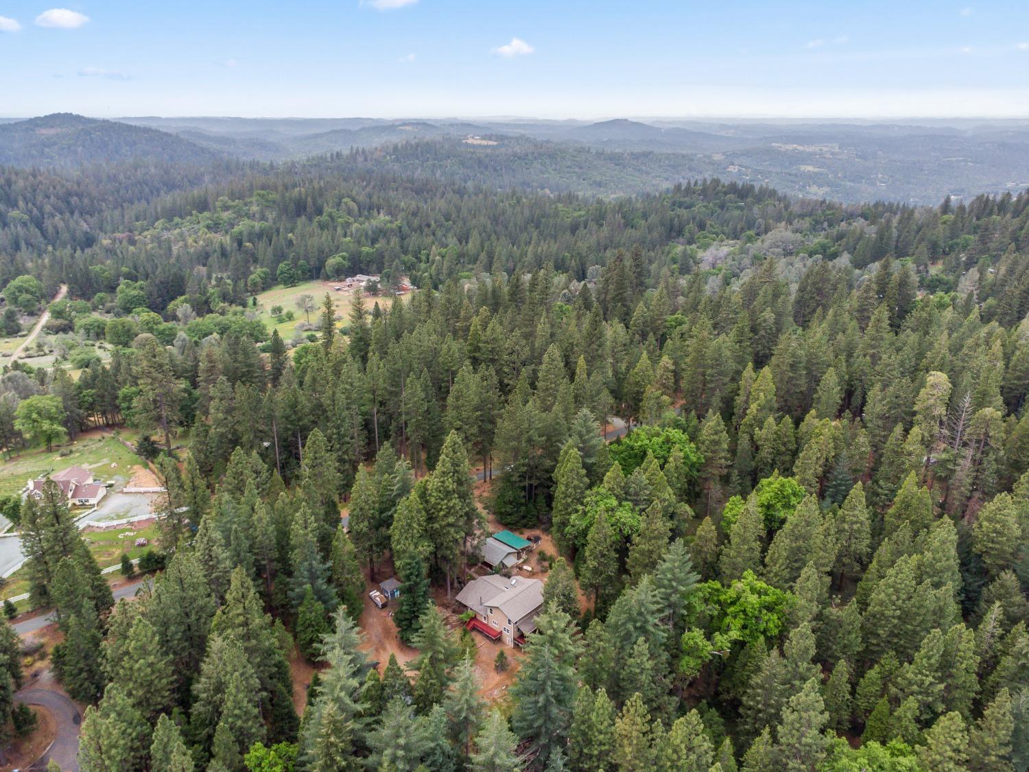 7481 Slug Gulch Road