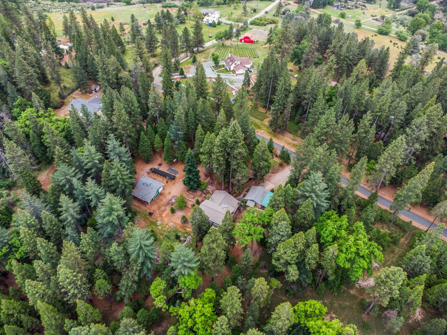 7481 Slug Gulch Road