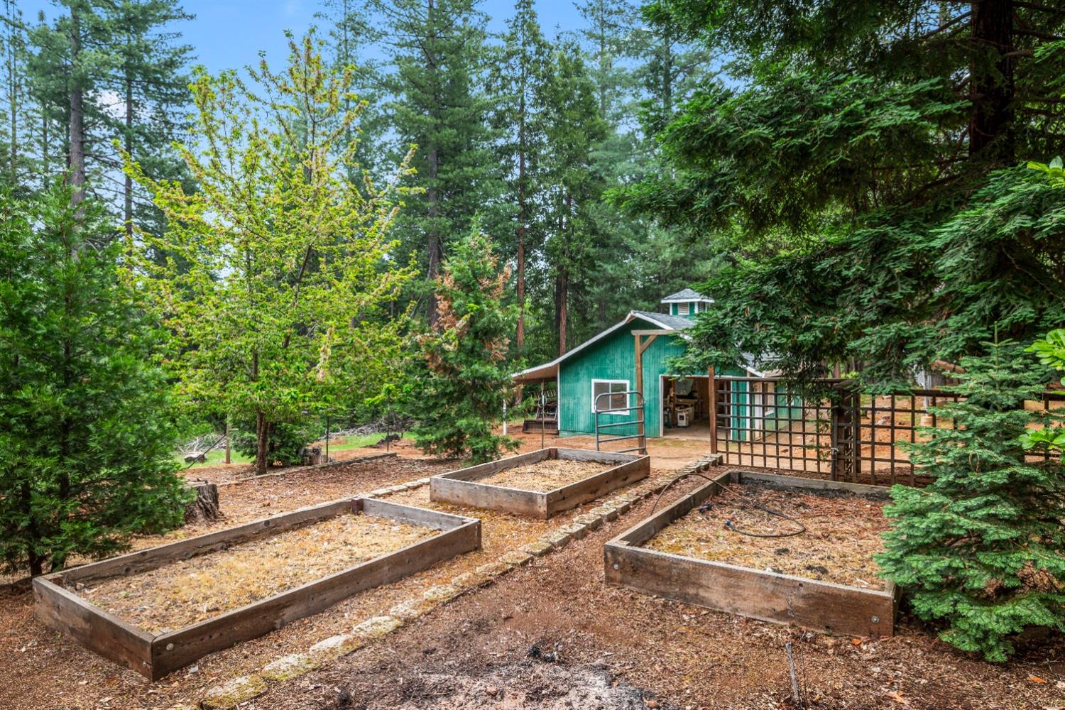 7481 Slug Gulch Road